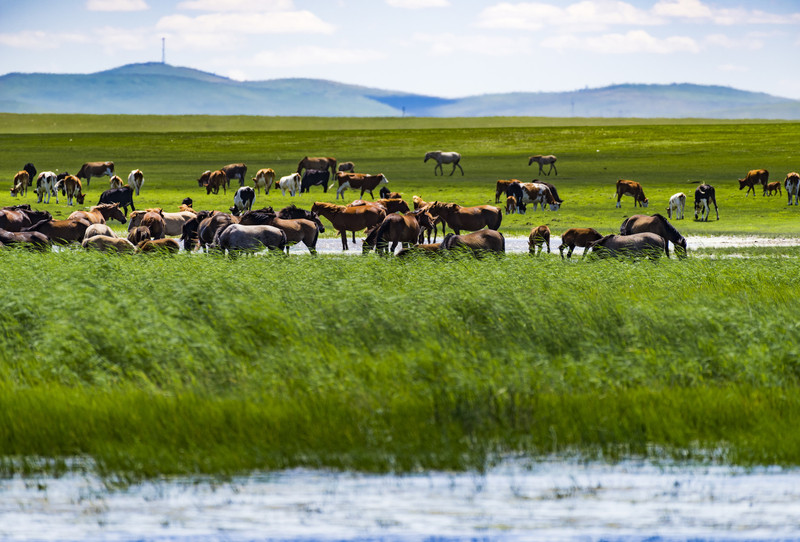 内蒙古,自然奇观与民族文化的璀璨明珠