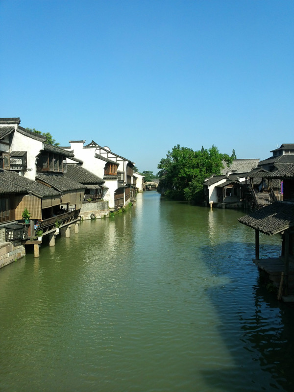 浙江之光，高科技革新重塑生活体验