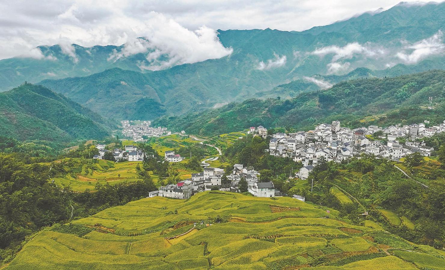 绿色传承，安徽砥砺前行迈向文化崛起