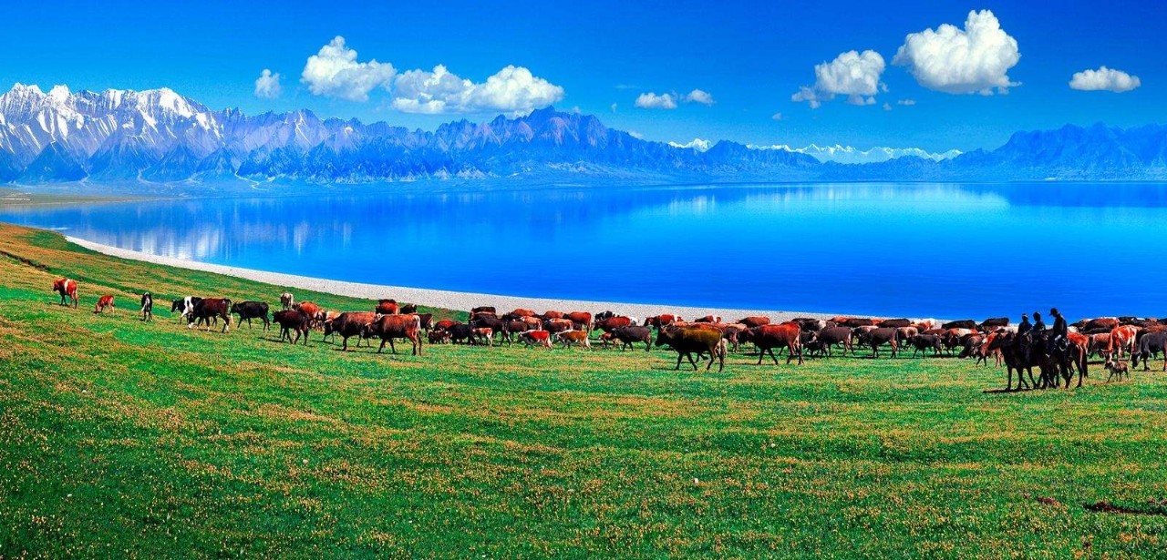 新疆,神秘美丽的土地🌄