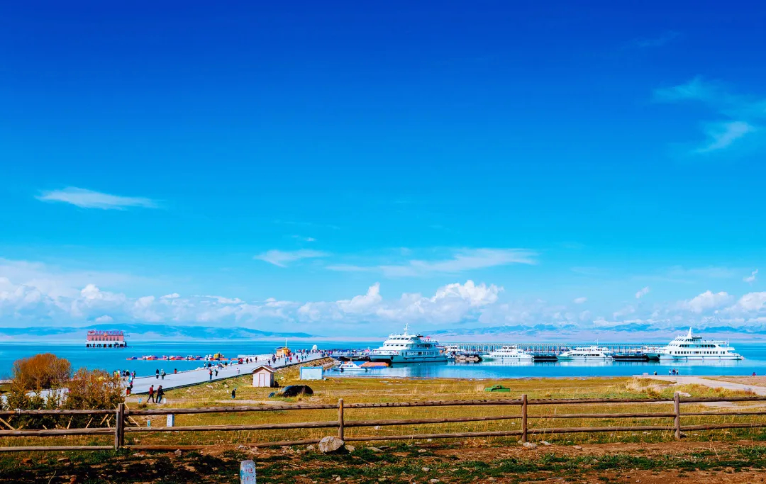 深巷藏韵,探秘青海风情特色小店